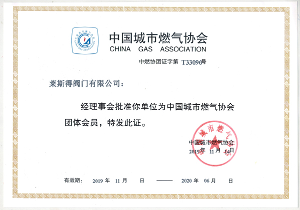 中國城市燃氣協(xié)會團隊會員-.jpg